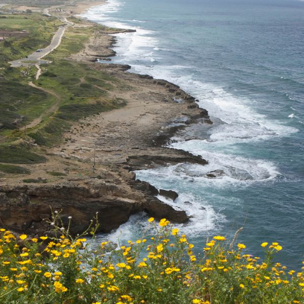 Israel ©Cyndie Burkhardt.