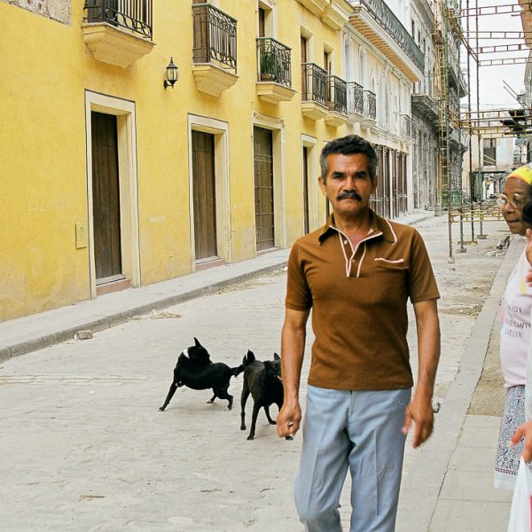 Street Dogs, Havana, Cuba, 1999 ©Cyndie Burkhardt.