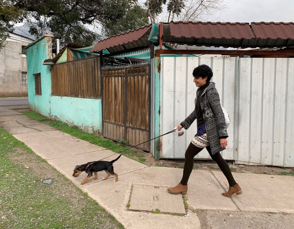 Monse walking Pitu, Santiago, Chile ©2019, Cyndie Burkhardt