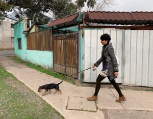 Monse walking Pitu, Santiago, Chile ©2019, Cyndie Burkhardt