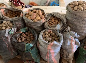 Potatoes at Pisac market, Peru ©2019, Cyndie Burkhardt
