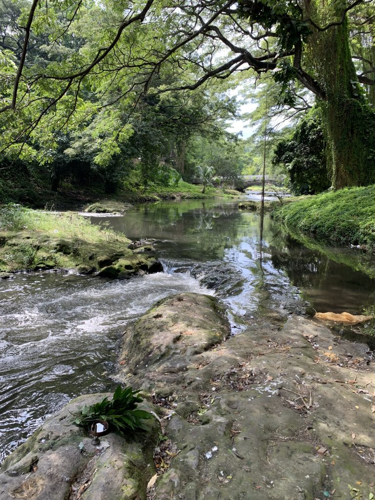 Havana Forest, Havana, Cuba