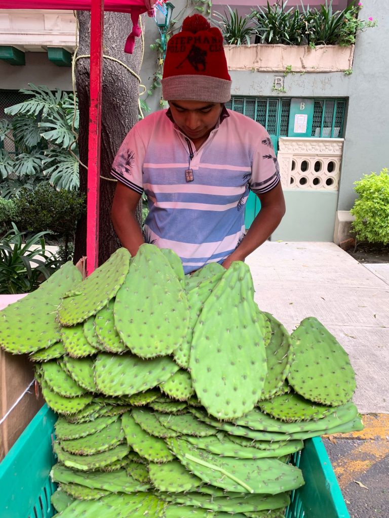 Cactus Seller, Mexico City, Mexico ©2019, Cyndie Burkhardt