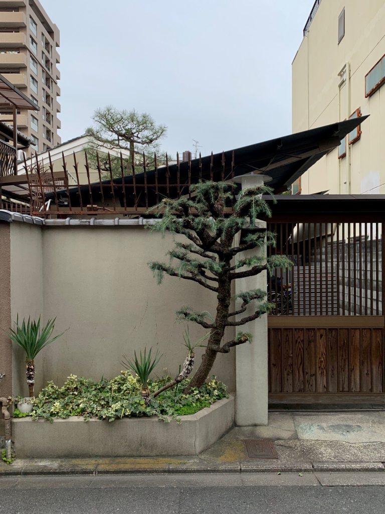 Street landscape, Kyoto, Japan ©2020, Cyndie Burkhardt.