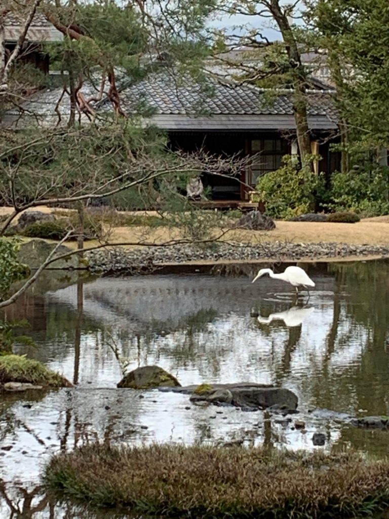 Murin-an Japanese garden, Kyoto, Japan ©2020, Cyndie Burkhardt.