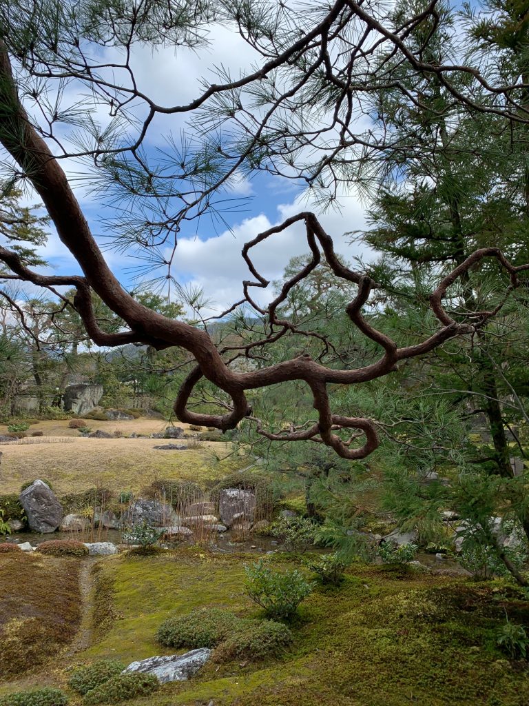 Murin-an Japanese garden, Kyoto, Japan ©2020, Cyndie Burkhardt.